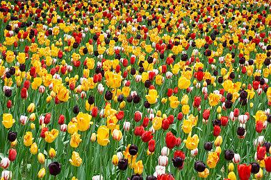 《超级机器人大战30》中文版同步发售 PSN港服预购已开启